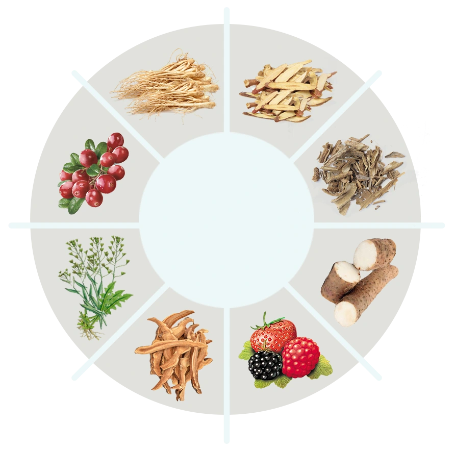 The circular graphic supplied as Dentanol's ingredient panel: eight photographs of plants arranged around a blank centre, with no captions and no names